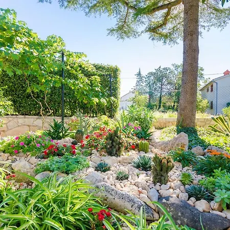 Apartman Dragutin *