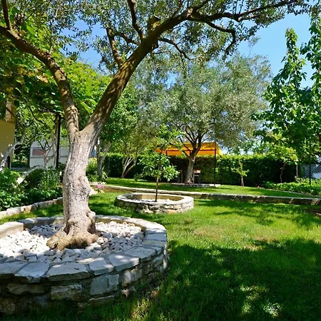 Dragutin Apartment
